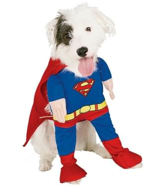 Superman Maskeraddräkt Hund