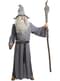 Costume di Gandalf - Il signore degli Anelli