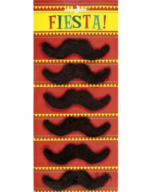 6 moustache mexicaines homme
