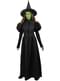 Wicked witch of the west kostum - Čarovnik iz Oza