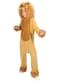 Lion Costume for Adults