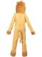 Lion Costume for Adults