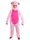 Pig Costume for Adults