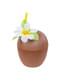 Kit de copo de coco e palhinha