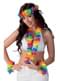 Kit Hawaï multi couleur adulte