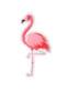 Decorazione da appendere con fenicottero - Flamingo Party