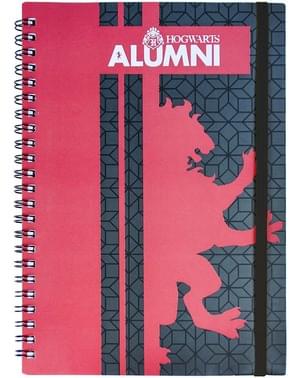 סט נייר מכתבים גריפינדור - הארי פוטר