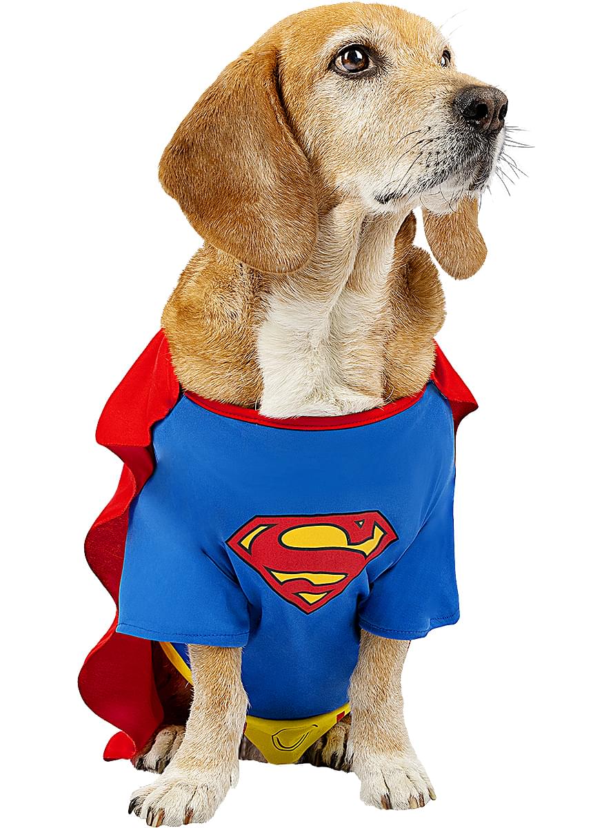 Déguisement Superman pour chien
