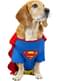 Superman Kostüm für Hunde