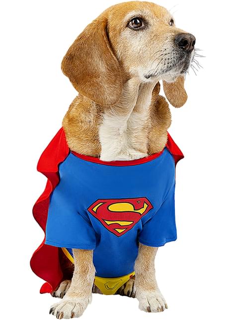 ledematen Instituut Handboek Superman kostuum voor honden. Volgende dag geleverd | Funidelia