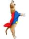 Superman Kostüm für Hunde