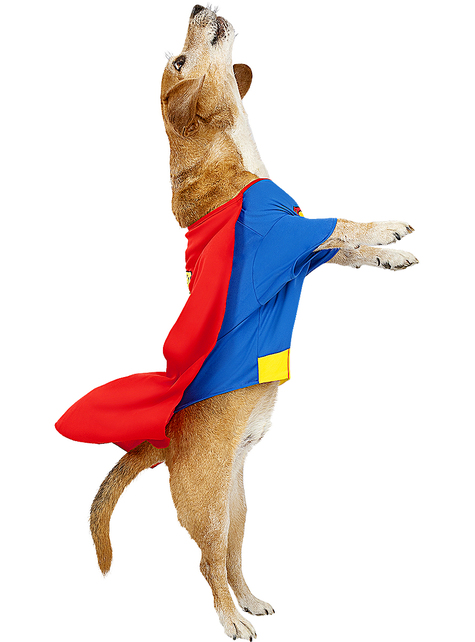 Fato de Super-Homem para cão