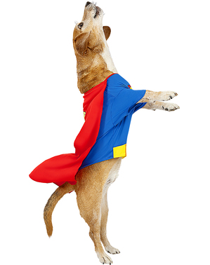 Superman Kostume til Hunde