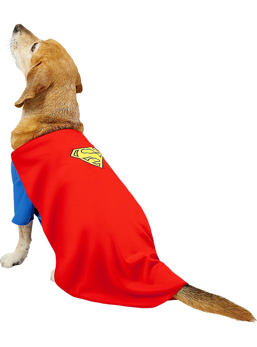 Disfraz de Superman para perro 