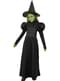 Wicked Witch of the West kostuum voor meisjes - The Wizard of Oz