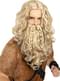 Viking Wig and Beard 