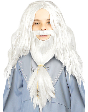 Lasulja in brada Dumbledore za otroke - Harry Potter
