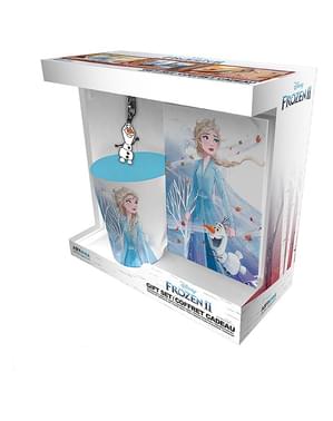 Elsa Gift Set - Frozen II