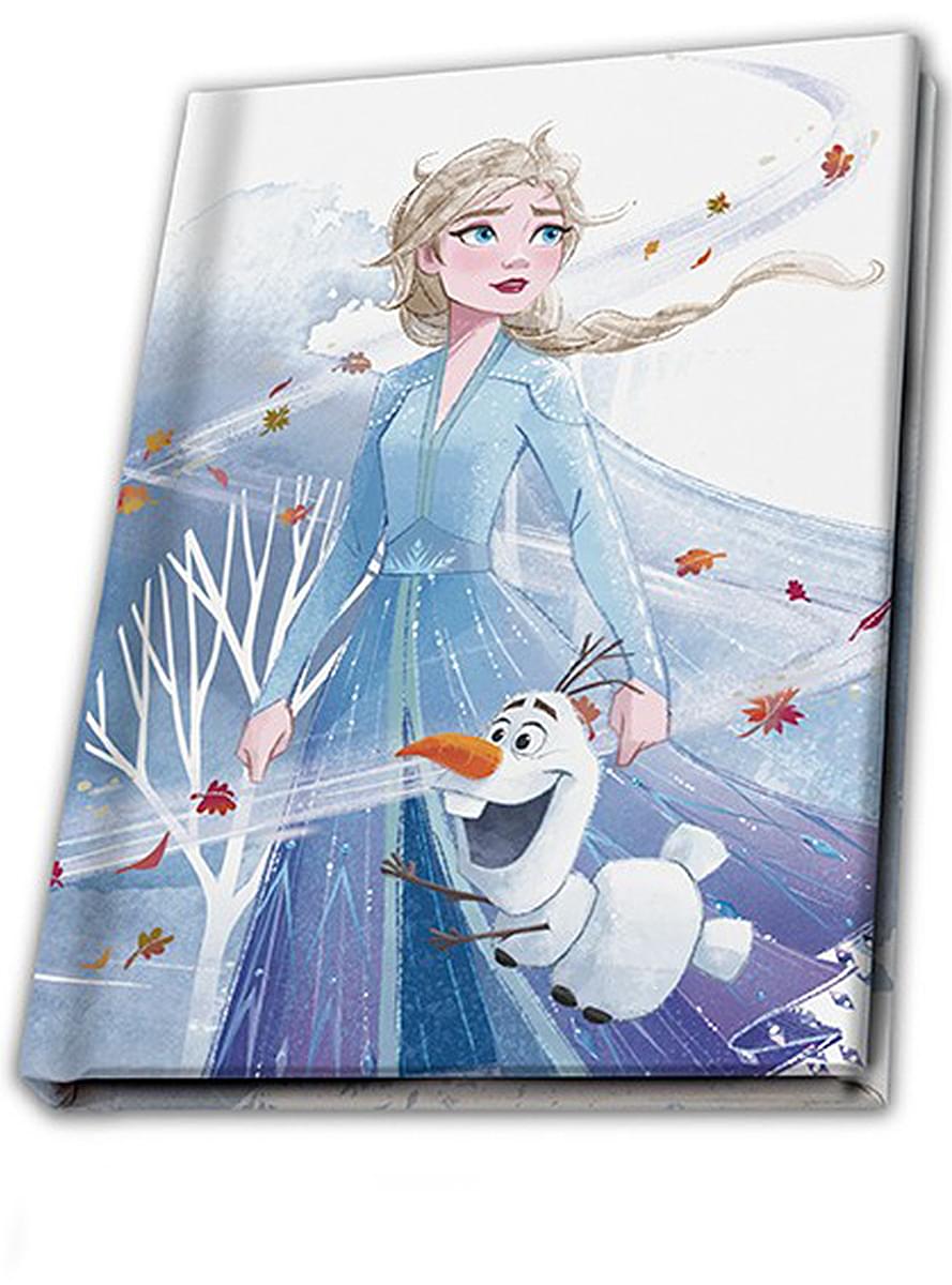 Dárkový set Elsa - Ledové království 2