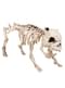 Hunde Skelett Figur