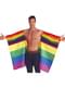 Regenboog vlag cape