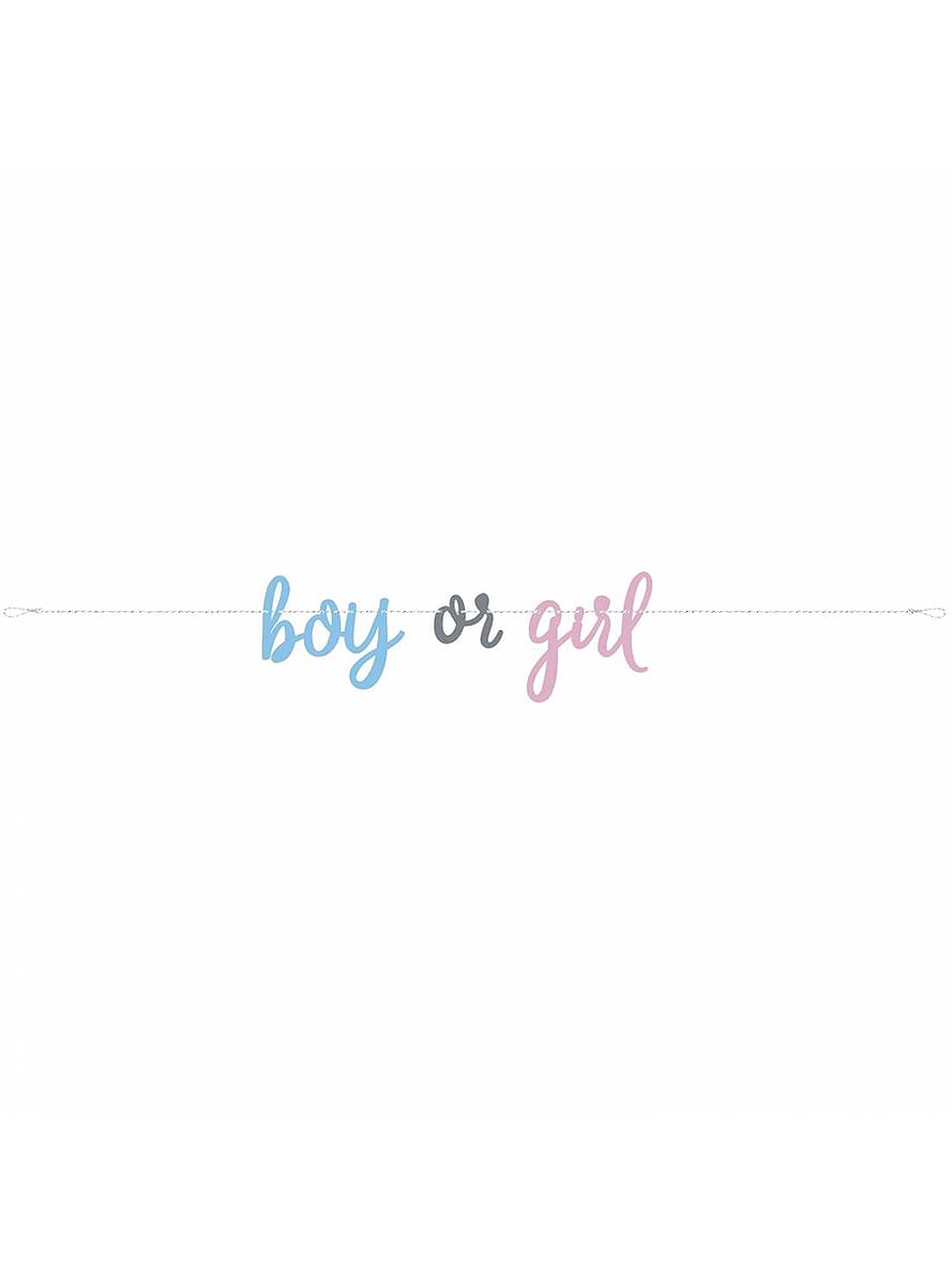 “Boy or Girl” Gender Reveal Banner - Blue or Pink