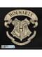 Harry Potter Hogwarts backpack