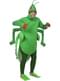 Grasshopper Costume for Adults
