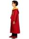 Déguisement Quidditch Gryffondor pour enfant - Harry Potter