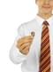 Harry Potter Gryffindor Tie with Pin