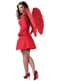 Ailes en plumes rouges adulte