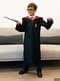 Varinha de Harry Potter
