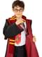 Varinha de Harry Potter