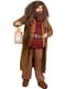 Disfraz de Hagrid - Harry Potter