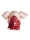 Adult's Bloody Pig Mask