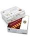 Harry Potter Griffoendor Stropdas met Pin