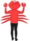 Crab Costume for Kids