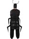 Ant Costume for Adults