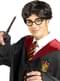 Harry Potter Szemüveg