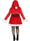 Deluxe Mrs Claus Costume for Women Plus Size