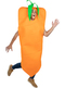 Costume da Carota