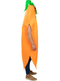 Costume da Carota