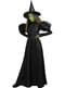 Wicked Witch of the West Costume Plus Size- The Wizard of Oz