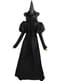 Costume della Malvagia Strega dell'Ovest taglie forti - Il Mago di Oz