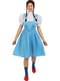 Dorothy jelmez, pluszos méret - The Wizard of Oz