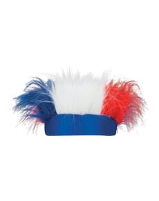Fita com pelo tricolor França