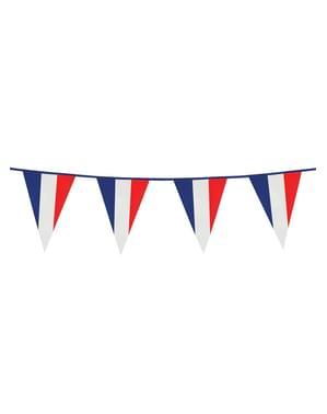 French Flag Bunting