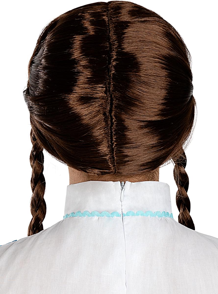 Brown Wig with Braids for Women