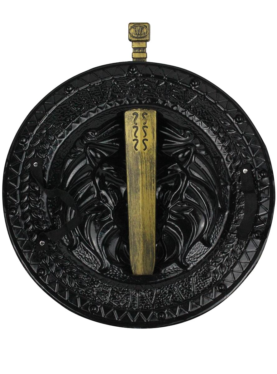 Espada y escudo romano para adulto