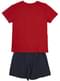 Hogwarts Short Pyjamas for Boys - Harry Potter